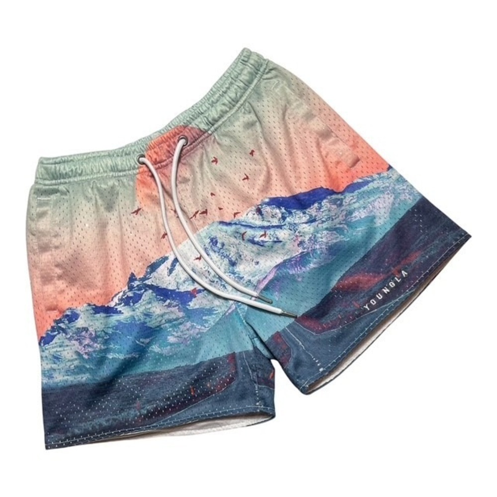 YoungLA 150 Men's Sz M After Party "Mystic Mountain" Mesh Shorts Gym Squat- 2253